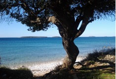ISTRIA GIOIA
