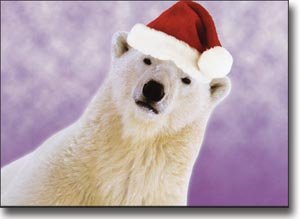Orso Natale