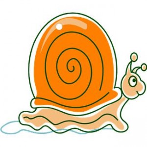 lumaca