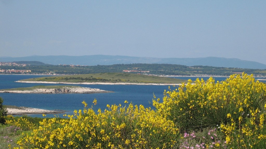 vacanze 2