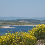 vacanze2